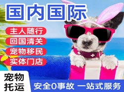 呼伦贝尔航空运输国际宠物托运 【国